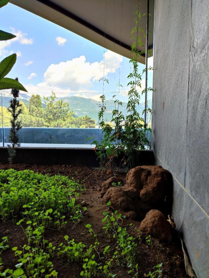 Royal Elysium Apartman Budva Kültér fotó